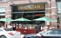 Dandelion