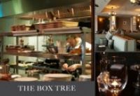 The Box Tree
